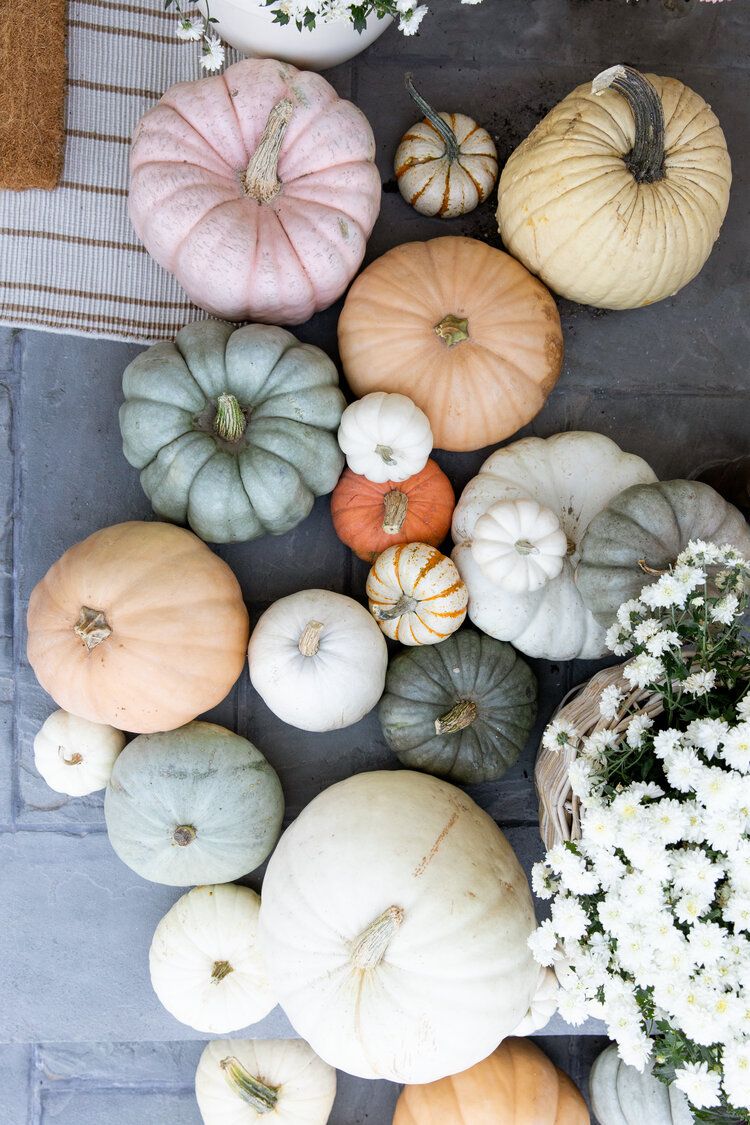 Top 5 spooky styling tips and tricks to decorate your home for hallowe