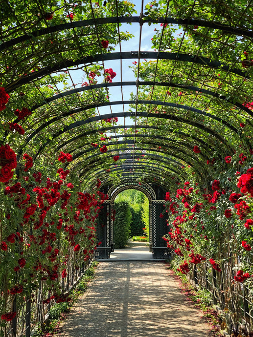 Outdoor Living and Gardening: Elevating Your Home's Natural Beauty